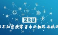2023年加密数字货币的机遇与挑战分析