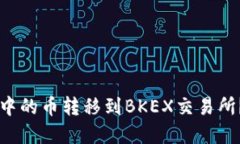 如何将tpWallet中的币转移到